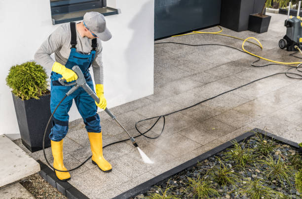 Best House Pressure Washing  in Lake Grove, NY